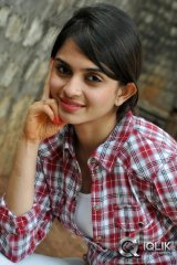 Sheena Shahabadi at Nuvve Naa Bangaram Press Meet